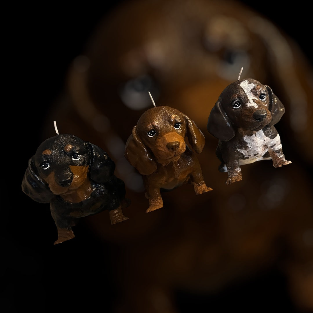 Customised dachshund dog candle