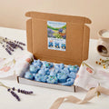 Lavender & Chamomile Wax Melts - Floral & Calming Scent