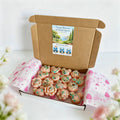 Orange Blossoms & Coastal Cypress Wax Melts