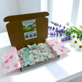 Cleaning Day Wax Melts - Fresh & Laundry Inspired