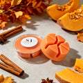 Pumpkin Spiced Latte Wax Melt Pot