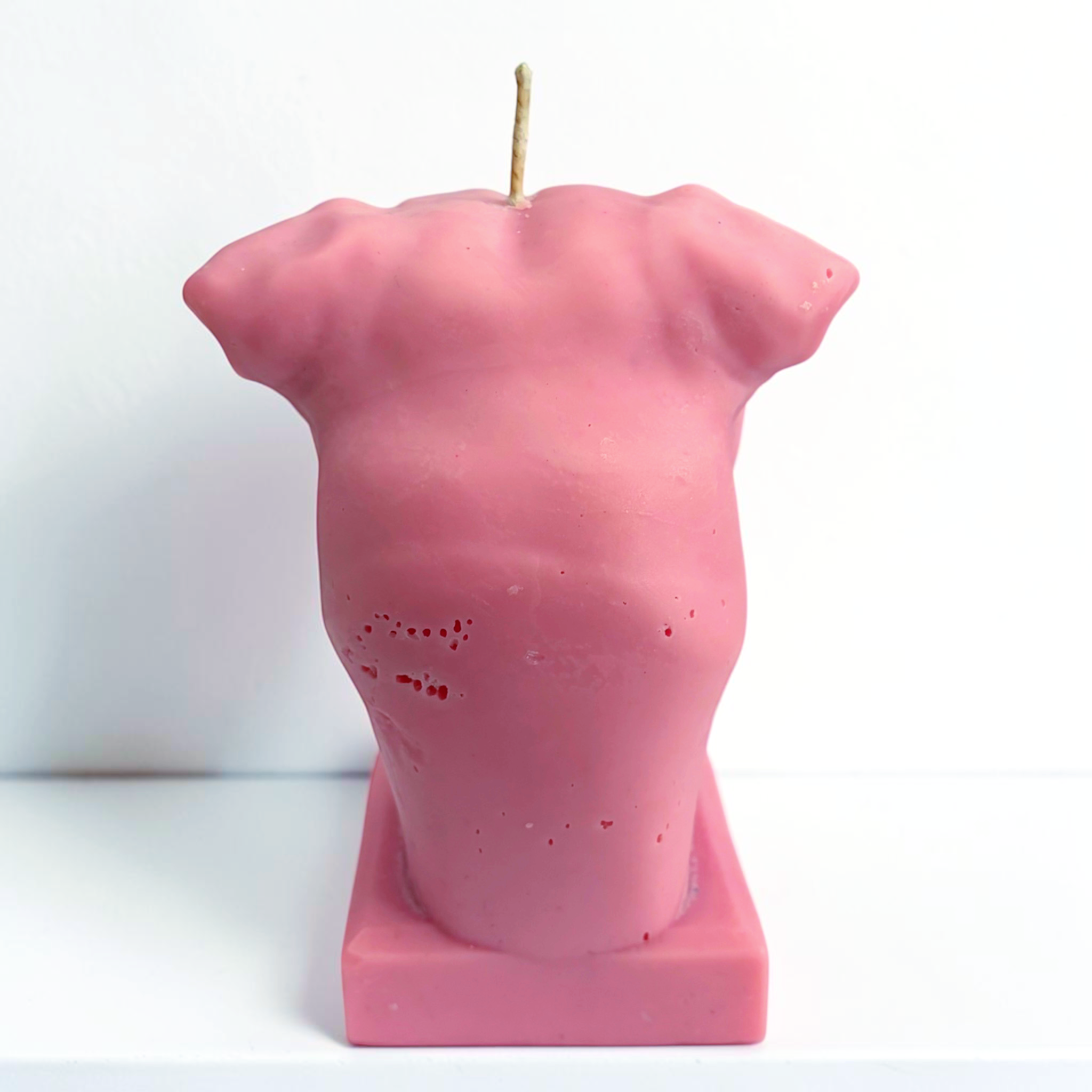 Staffordshire dog decorative soy wax candle